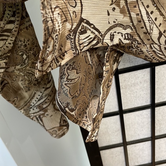 Cydney Mar Sheer Tunic Blouse, Browns with a Touch of Gold, XL, NWOT - Picture 5 of 8